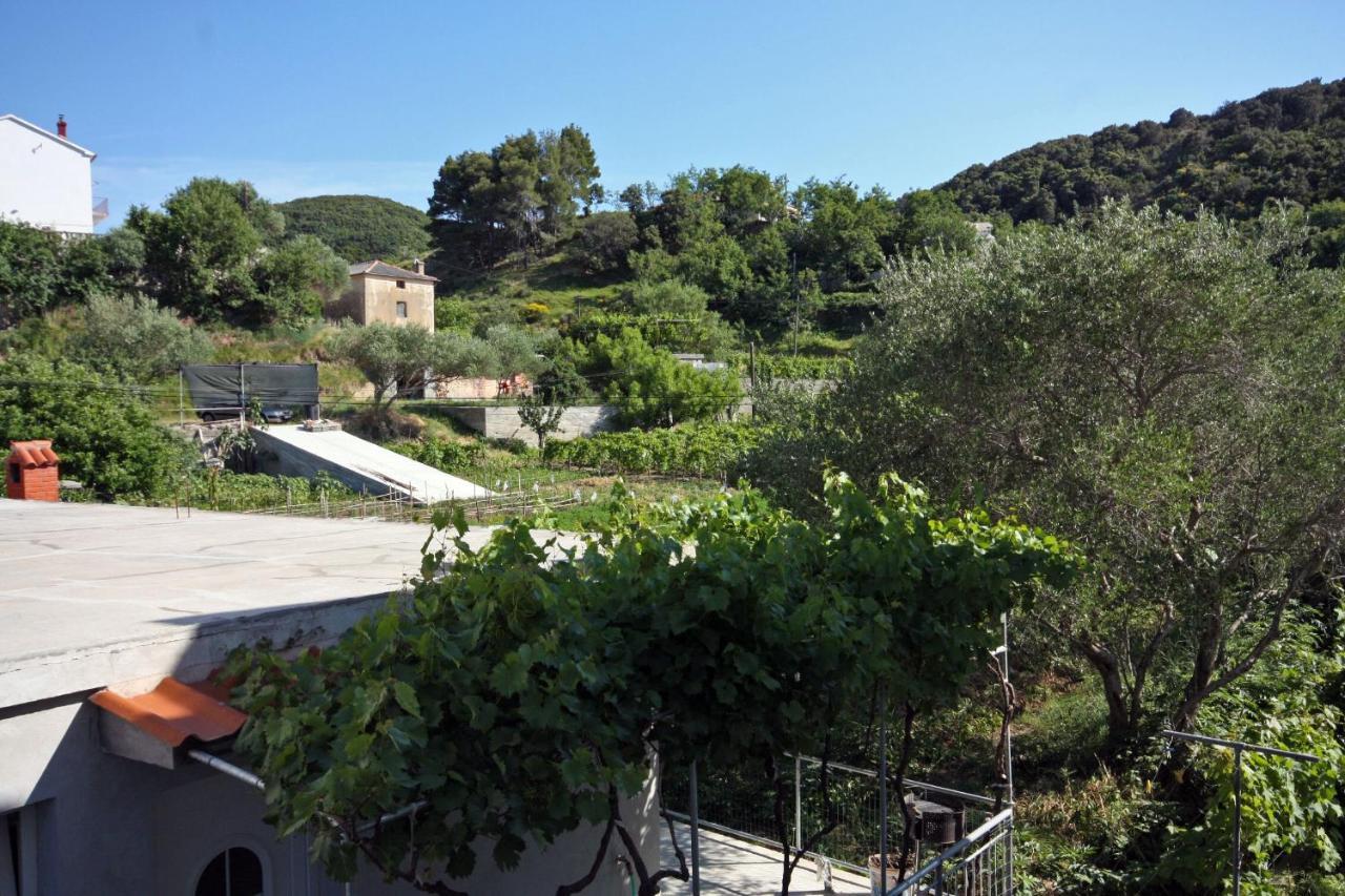 Family Friendly Apartments With A Swimming Pool Supetarska Draga - Donja, Rab - 2019 Zewnętrze zdjęcie
